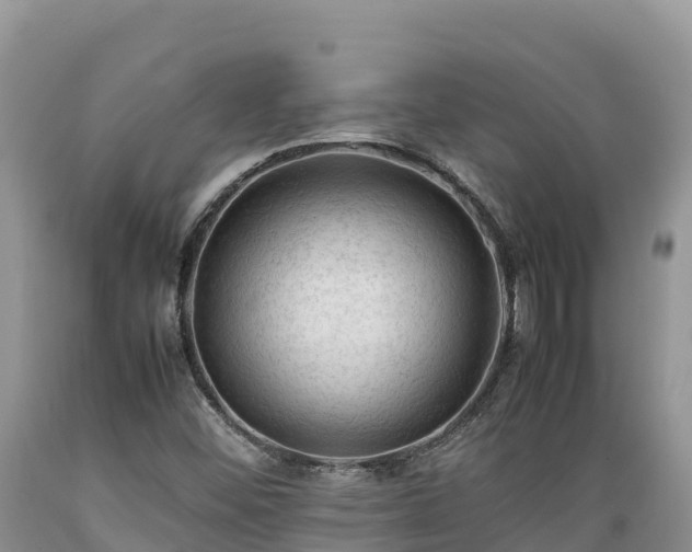 X0000089351452200706221128