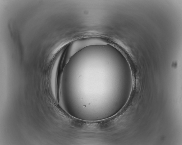 X0000089351453200706221128