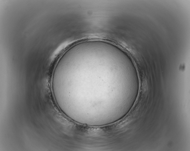 X0000089351454200706221128