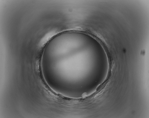 X0000089351455200706221128