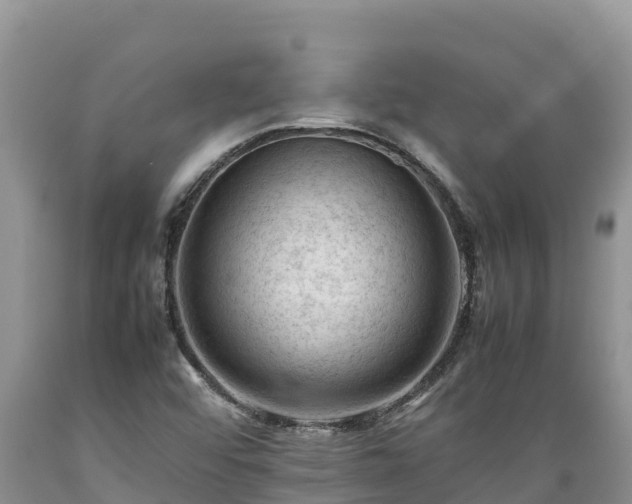 X0000089351456200706221128