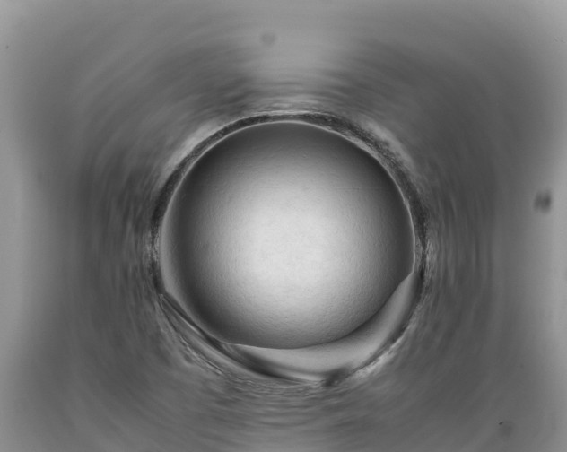 X0000089351457200706221128