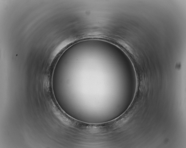 X0000089351458200706221128