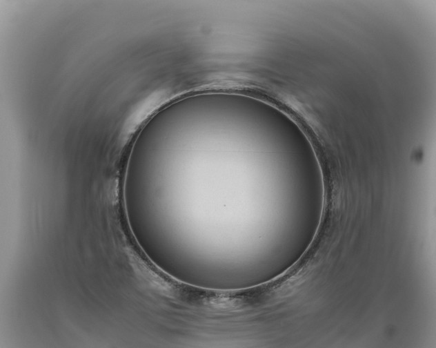 X0000089351459200706221128