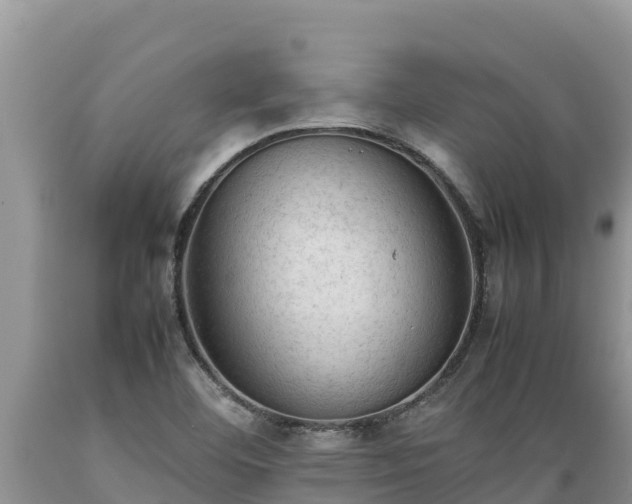 X0000089351460200706221128