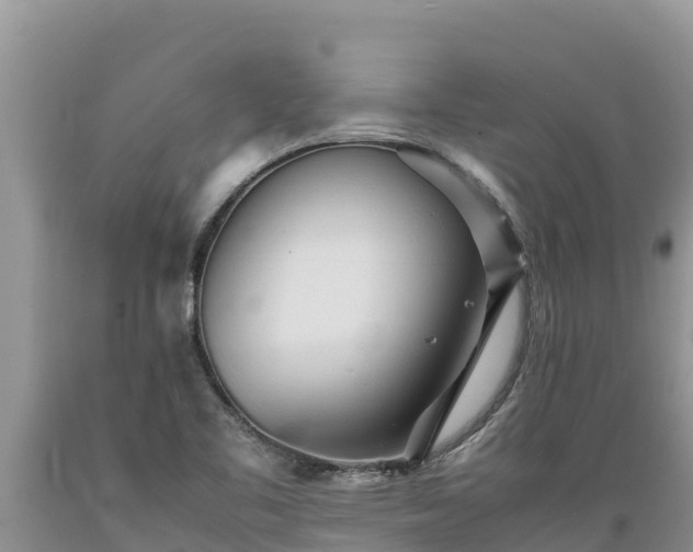 X0000089351461200706221128