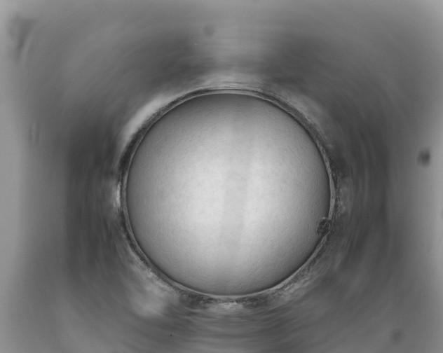 X0000089351462200706221128