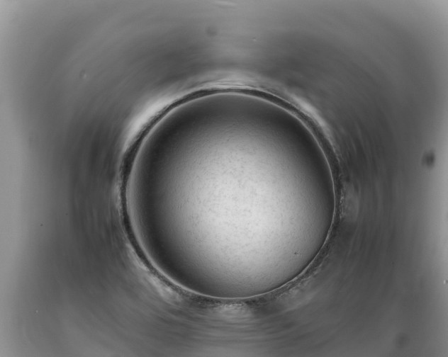 X0000089351464200706221128