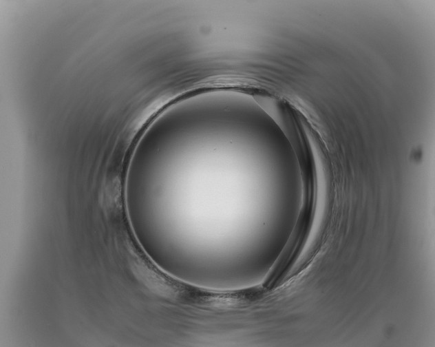X0000089351465200706221128