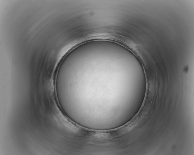 X0000089351466200706221128
