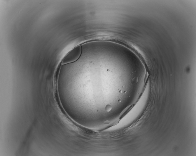 X0000089351467200706221128