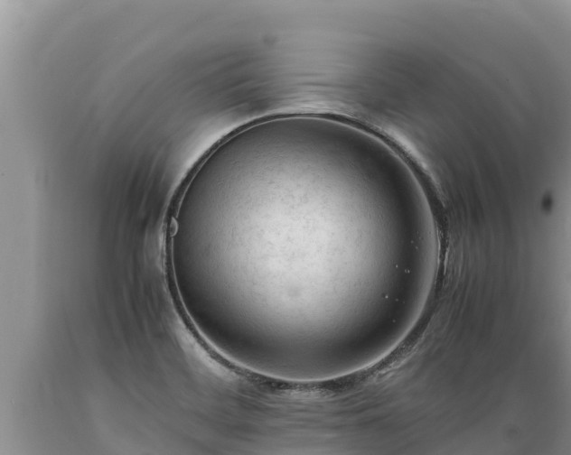 X0000089351468200706221128