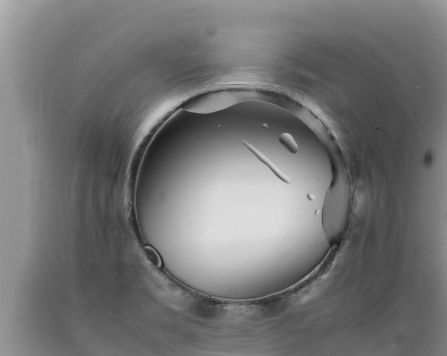 X0000089351469200706221128