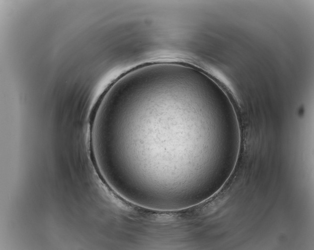 X0000089351472200706221128