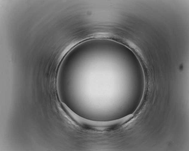 X0000089351473200706221128