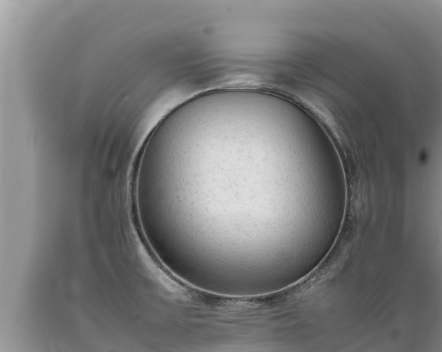 X0000089351475200706221128