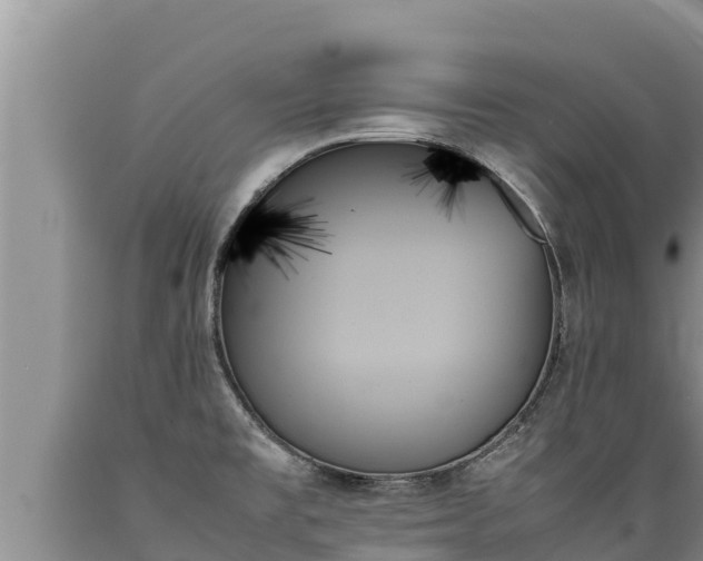 X0000089351477200706221128
