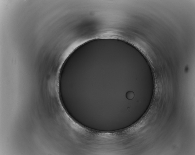 X0000089351478200706221128