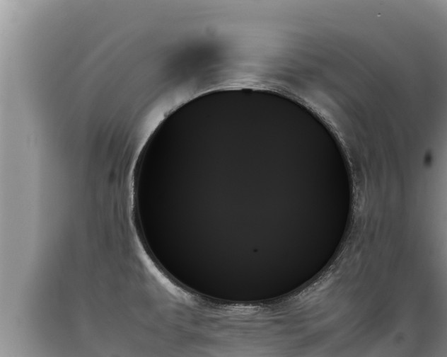 X0000089351479200706221128