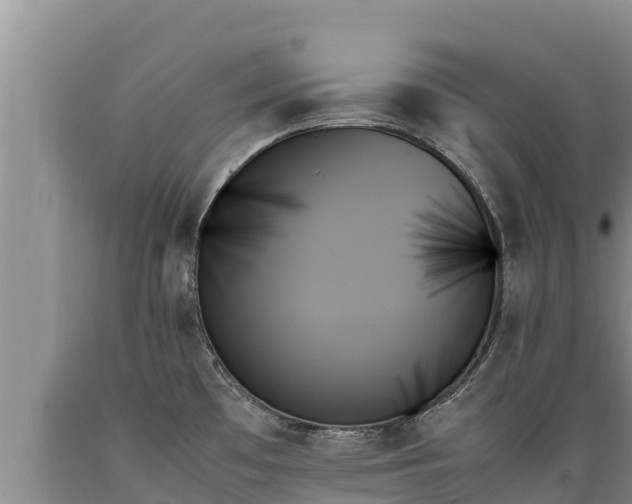 X0000089351481200706221128