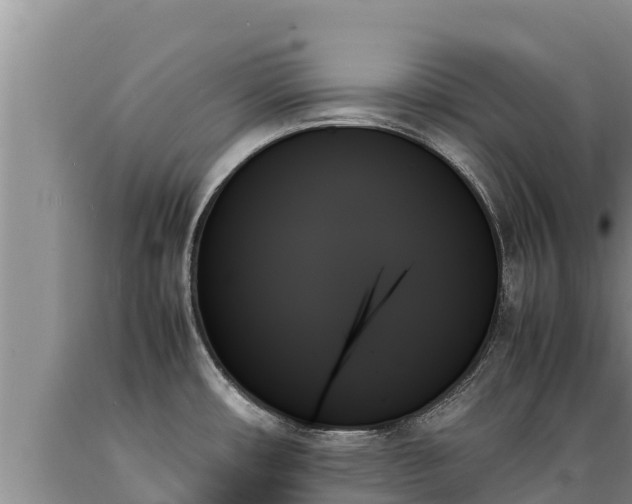X0000089351482200706221128