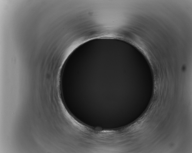 X0000089351483200706221128