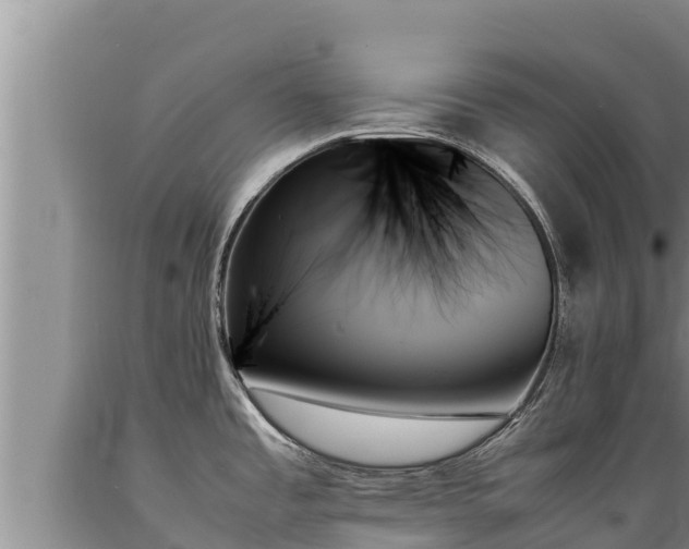 X0000089351485200706221128