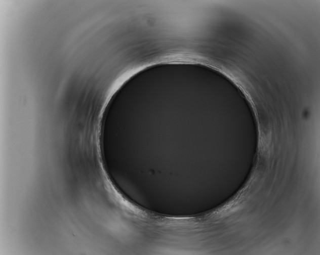 X0000089351486200706221128