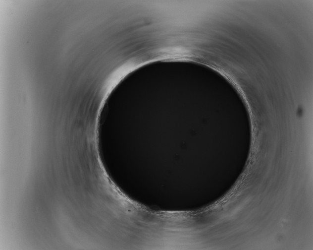 X0000089351488200706221128