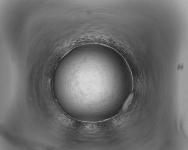 X0000089351489200706221127