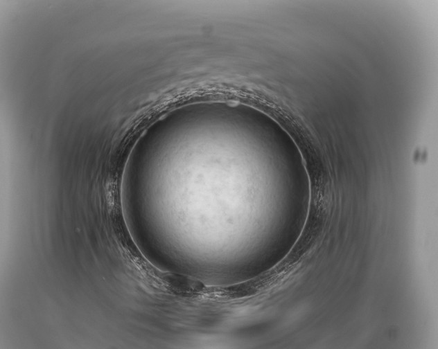 X0000089351490200706221127