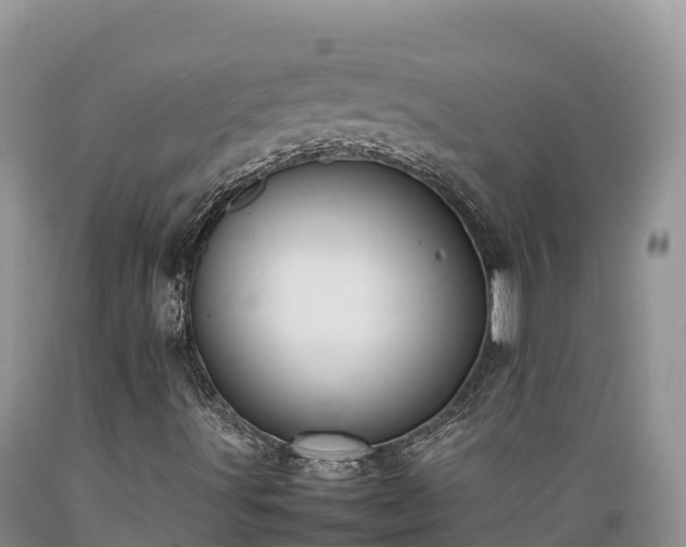 X0000089351491200706221127