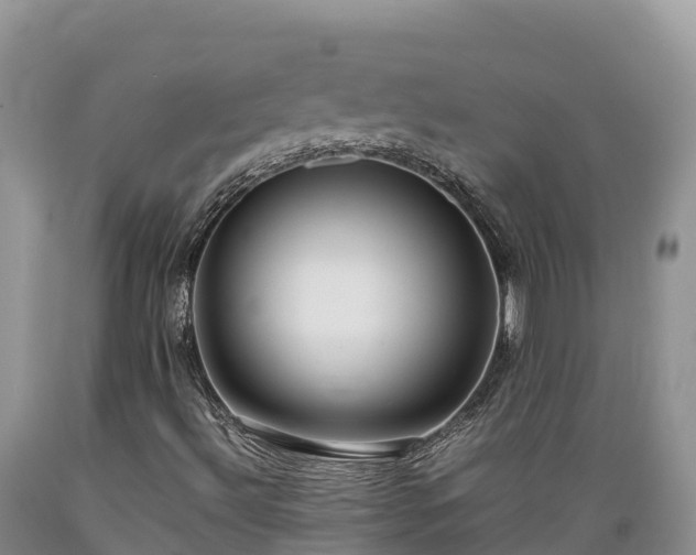 X0000089351492200706221127