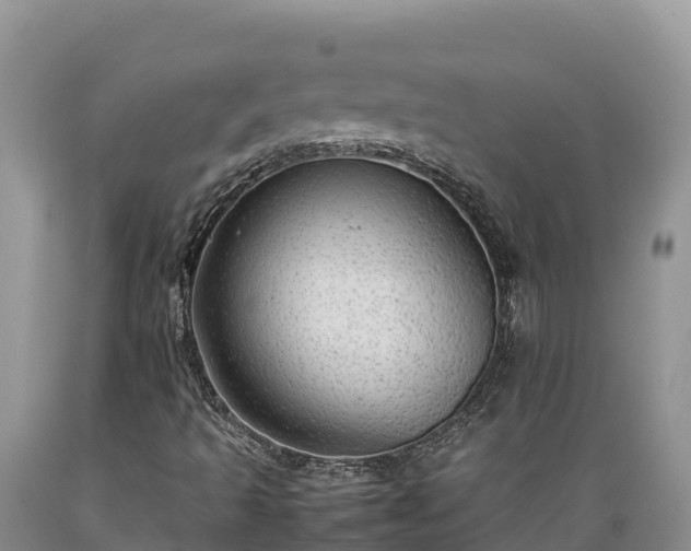 X0000089351493200706221127