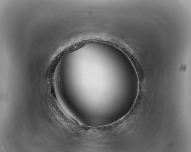 X0000089351496200706221127