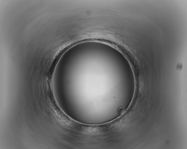X0000089351497200706221127
