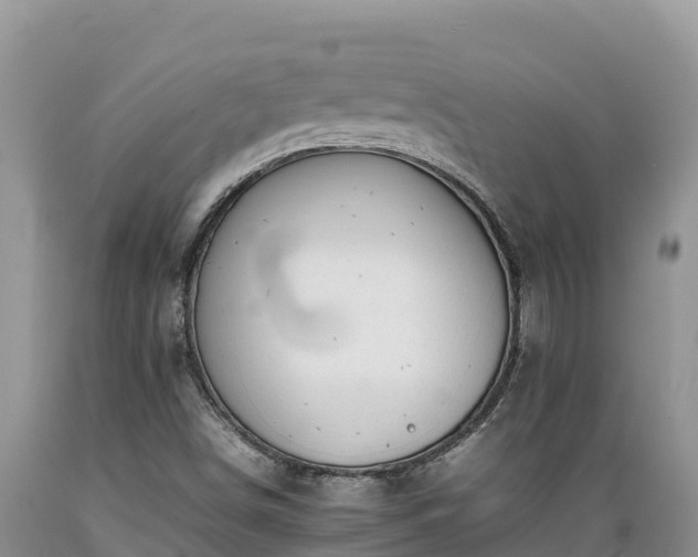 X0000089351498200706221127