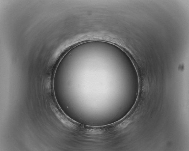 X0000089351499200706221127