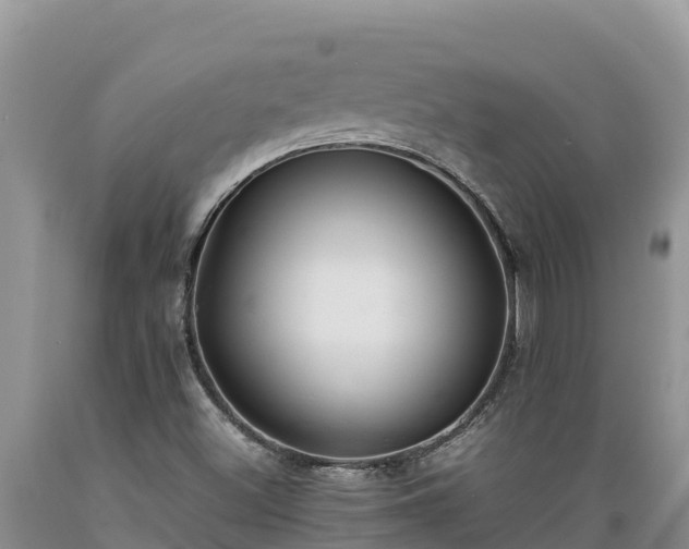 X0000089351500200706221127