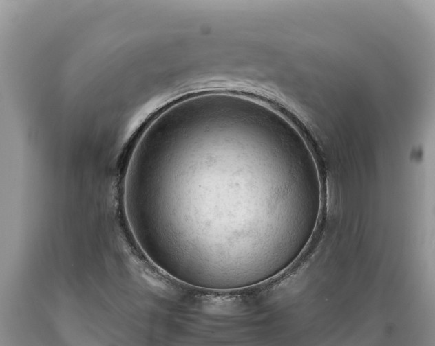 X0000089351501200706221127
