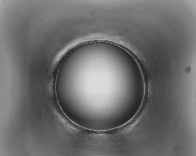 X0000089351502200706221127