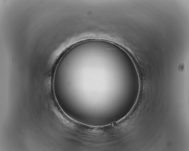 X0000089351503200706221127