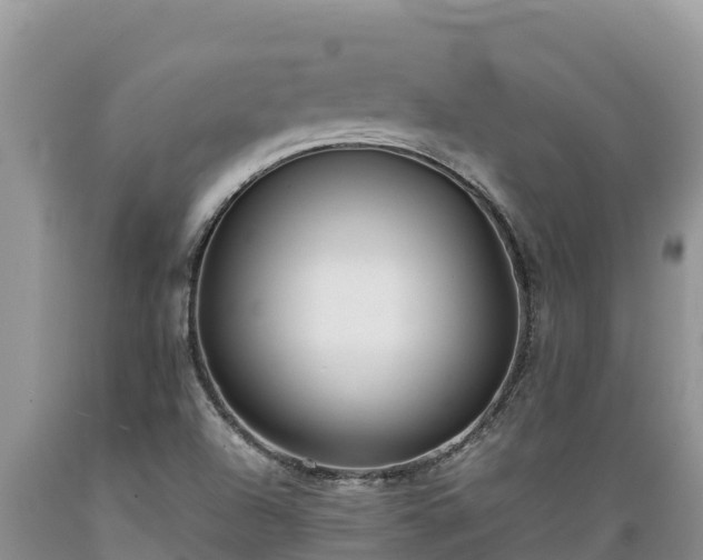 X0000089351504200706221127