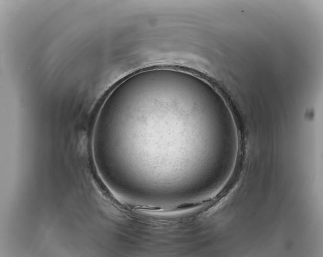 X0000089351505200706221127