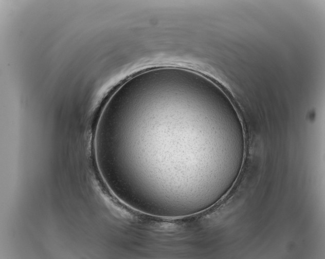 X0000089351507200706221127