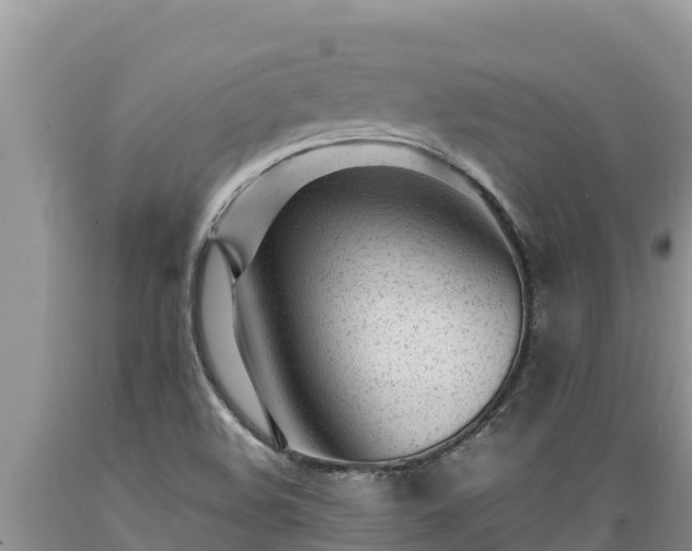X0000089351508200706221127