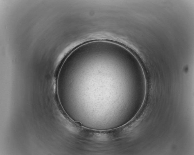 X0000089351509200706221127