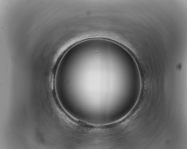 X0000089351510200706221127