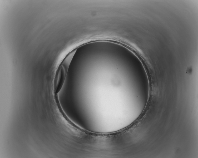 X0000089351512200706221127