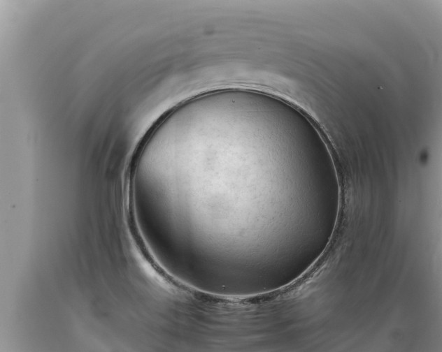 X0000089351515200706221128